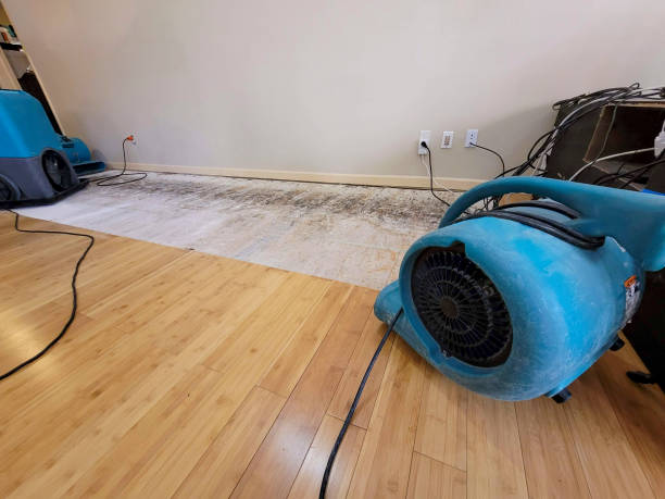 Professional Emergency Water Damage technician working in Banquete, TX